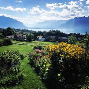 Jardins de La Doges. Photo Jasmina Cornut